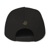 COMPASSION Flat Bill Snapback